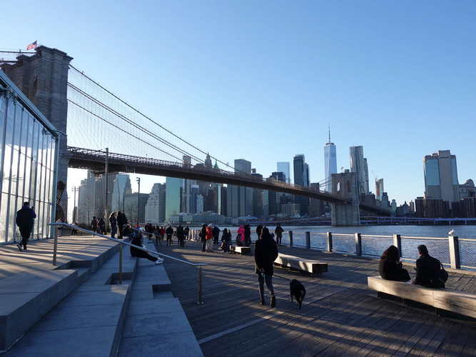 NYC_2024-02-03 16-24-14_RX_07065